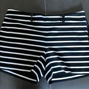 Cute white house black market dressy shorts